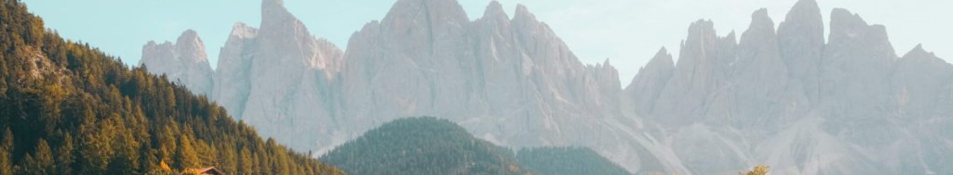 header hero 1024x516.jpg